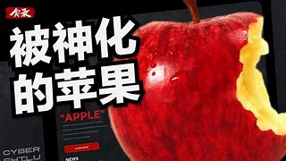 icivet苹果版相机权限苹果手机允许访问相机权限在哪里设置-第2张图片-太平洋在线下载