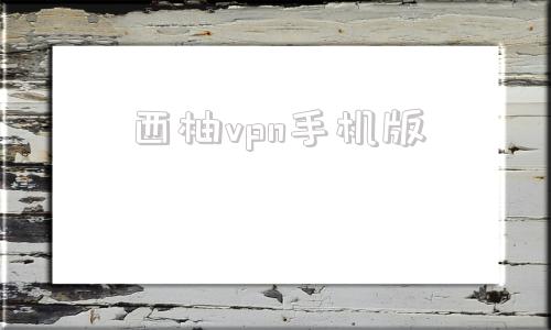 西柚vpn手机版西柚app官网下载